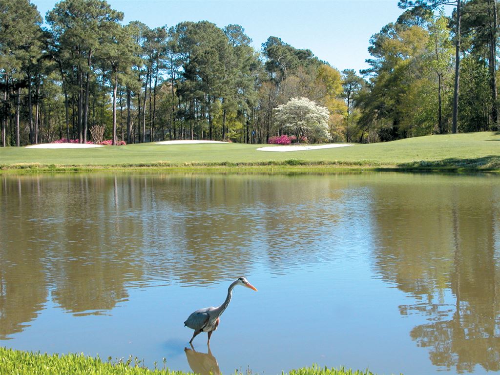 Eagle Nest Golf Club